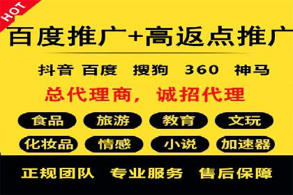 SEM推广优化策略：成功案例解析